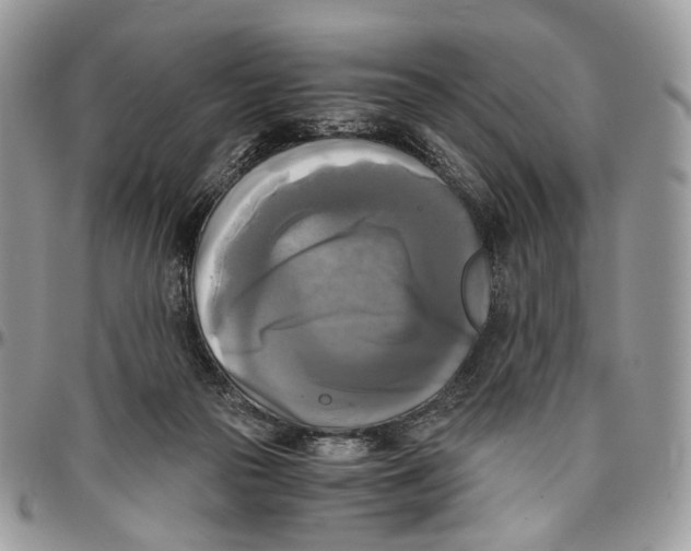 X0000096400169200802141526