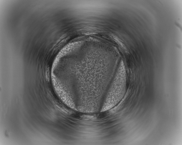 X0000096400170200802141526