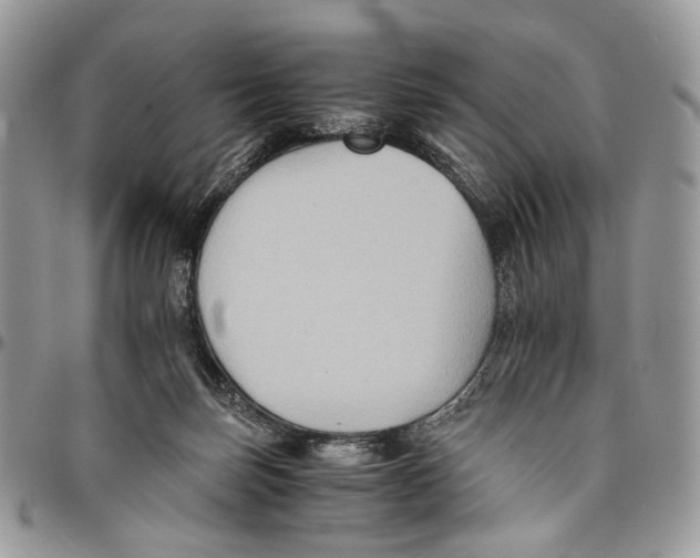 X0000096400171200802141526