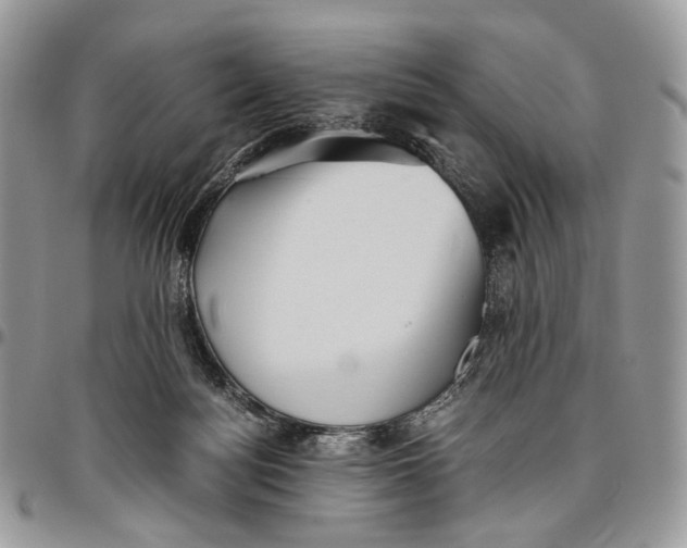 X0000096400172200802141526