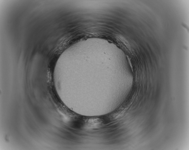 X0000096400173200802141527