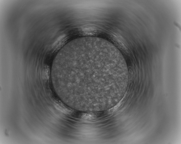 X0000096400174200802141527