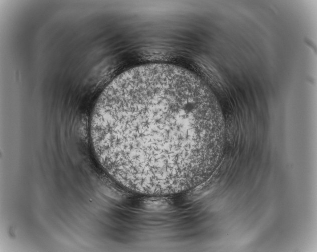 X0000096400175200802141527