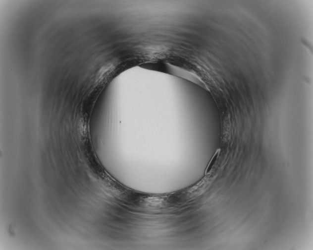 X0000096400176200802141527