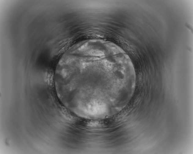 X0000096400177200802141527