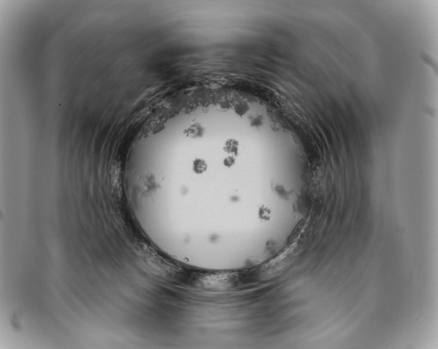 X0000096400178200802141527