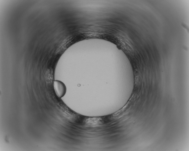 X0000096400179200802141527