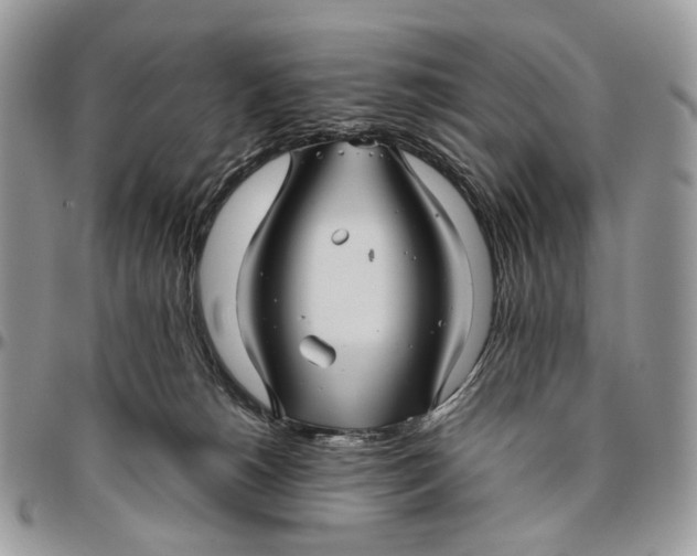 X0000096400180200802141527