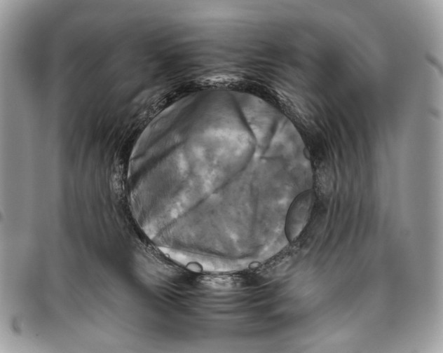 X0000096400181200802141527