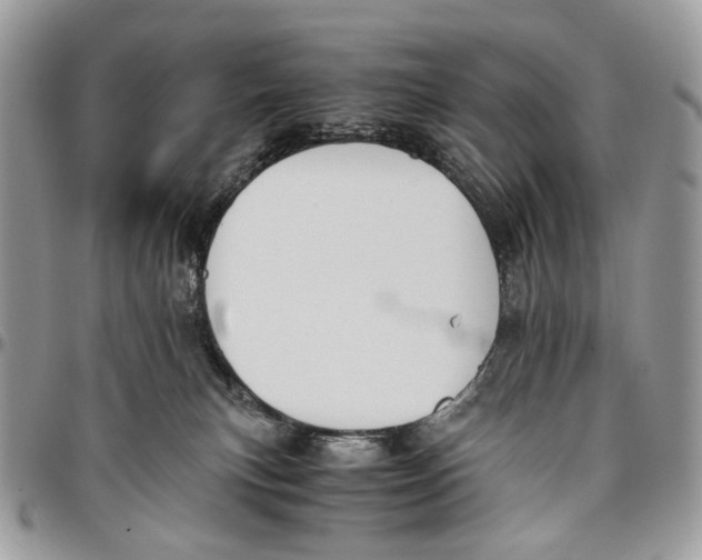 X0000096400183200802141527