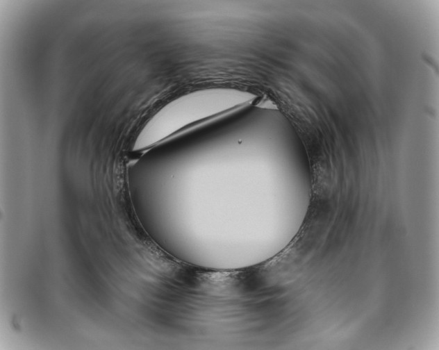 X0000096400184200802141527