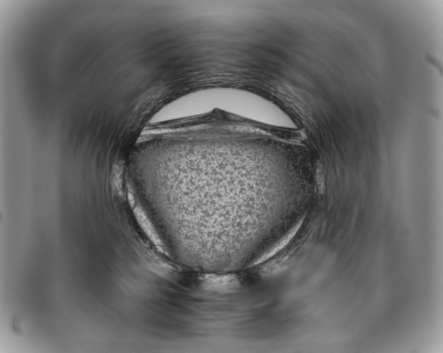 X0000096400185200802141527