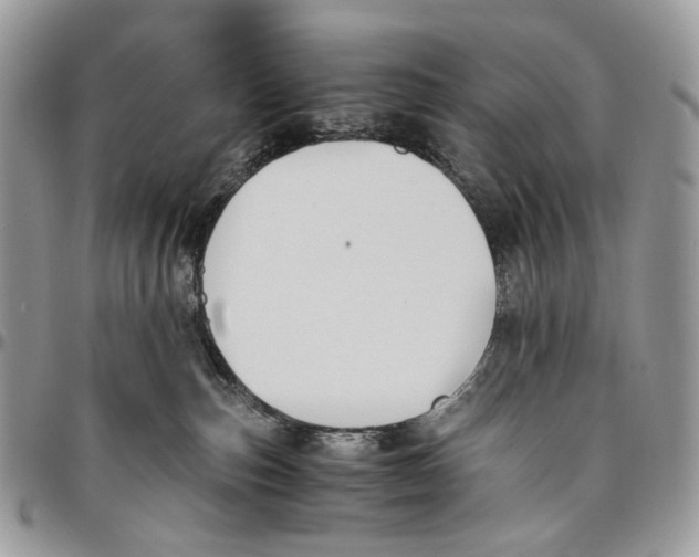 X0000096400187200802141527