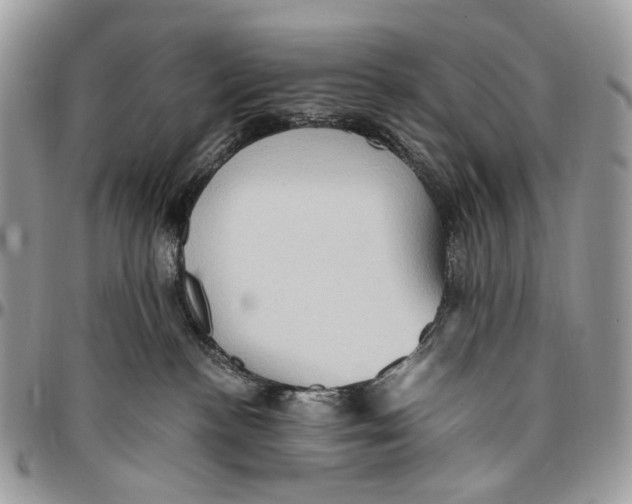 X0000096400188200802141527