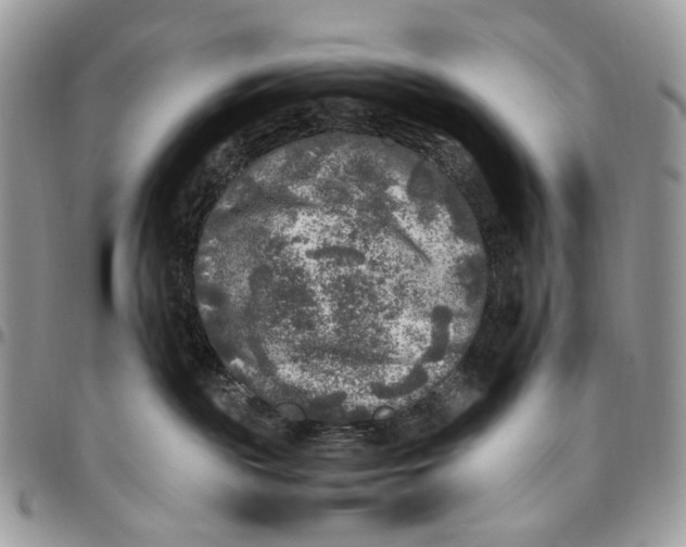 X0000096400189200802141527