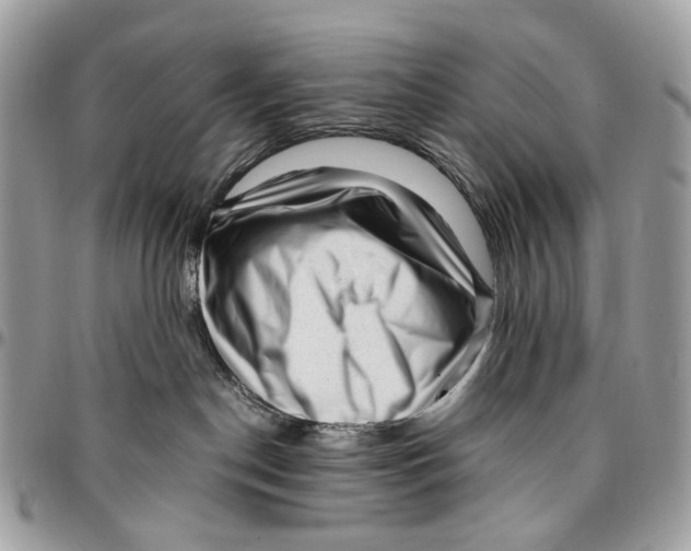 X0000096400190200802141527