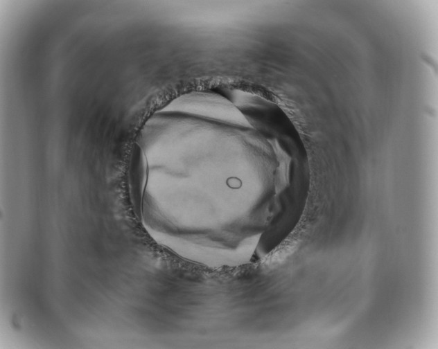 X0000096400192200802141527