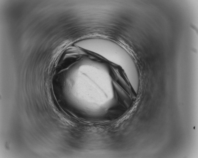 X0000096400193200802141526