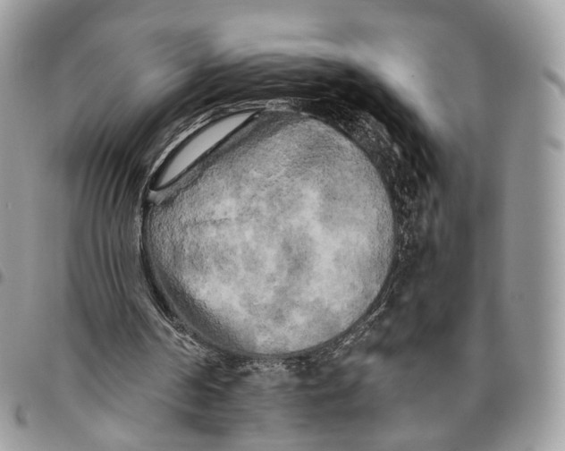 X0000096400194200802141526