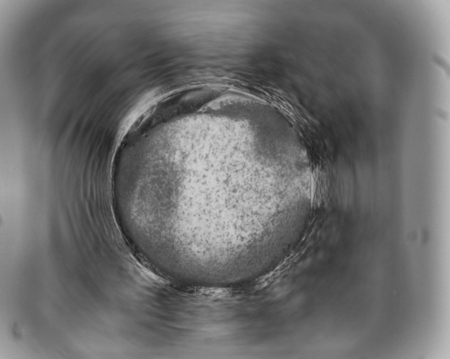 X0000096400195200802141526