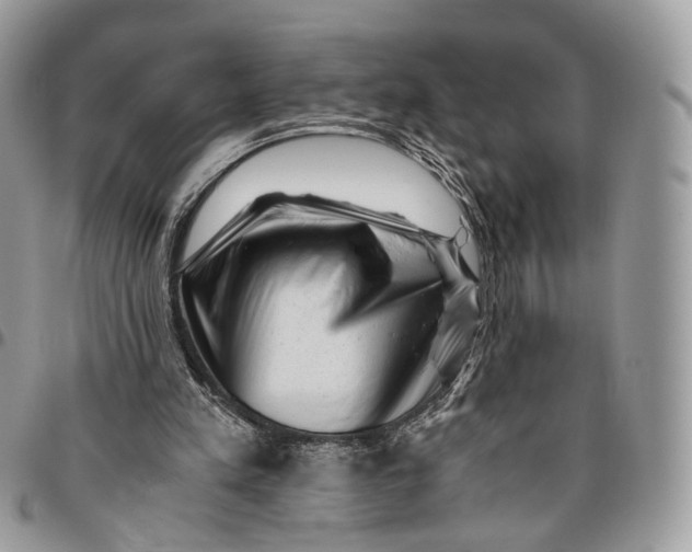 X0000096400197200802141526