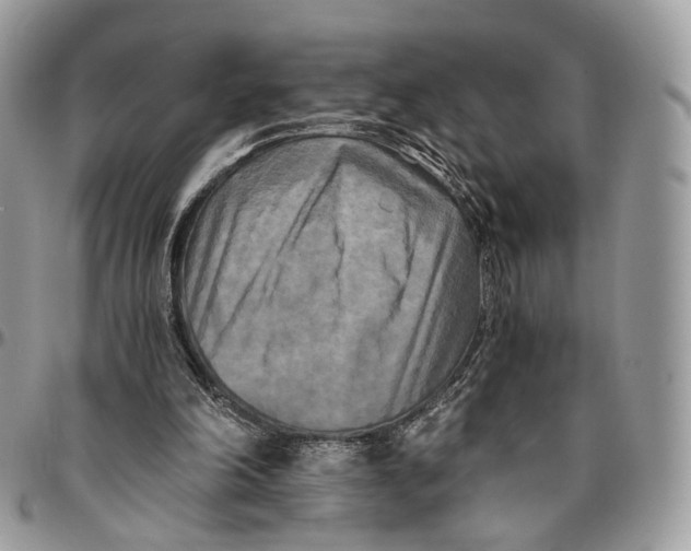 X0000096400198200802141526