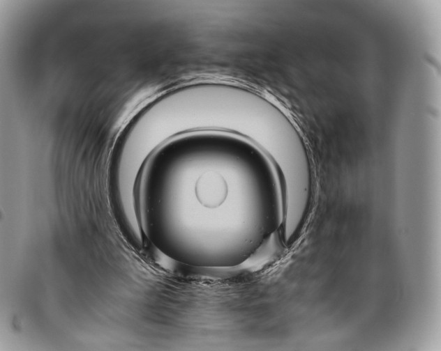 X0000096400199200802141526