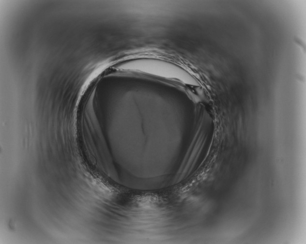 X0000096400200200802141526