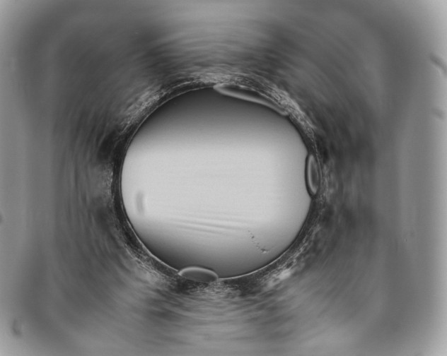 X0000096400201200802141526