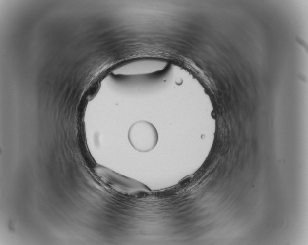 X0000096400203200802141526