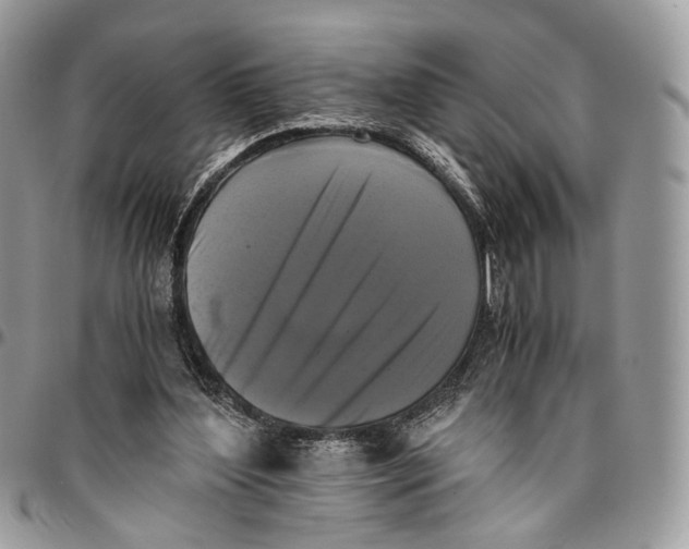 X0000096400204200802141526