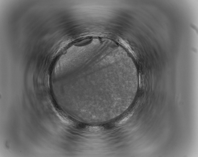 X0000096400205200802141526