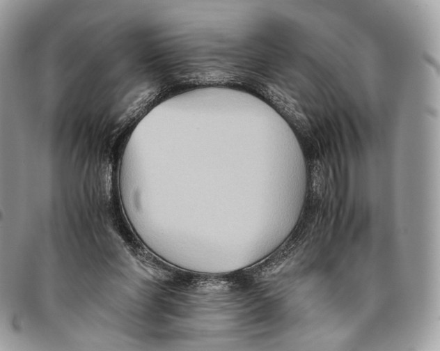 X0000096400206200802141526