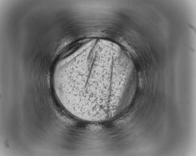 X0000096400207200802141526