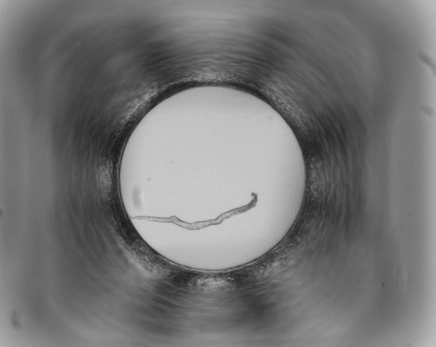 X0000096400208200802141526