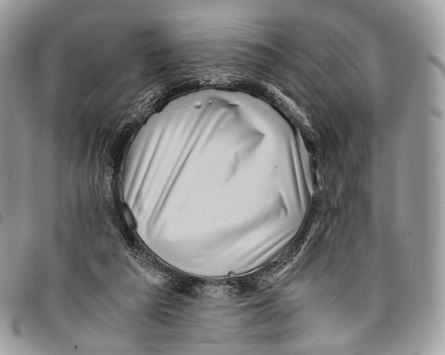 X0000096400209200802141526