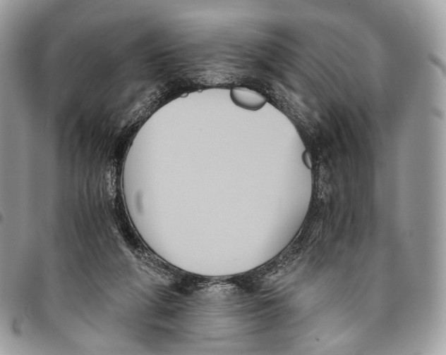 X0000096400210200802141526