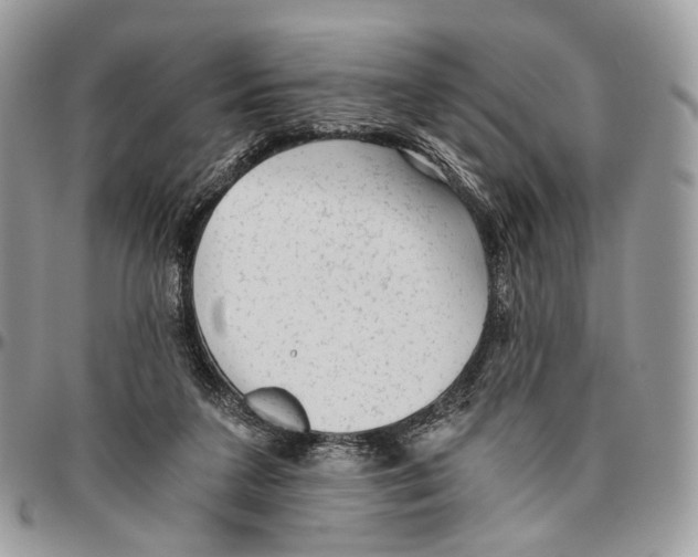 X0000096400211200802141526