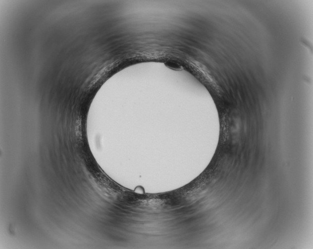 X0000096400212200802141526