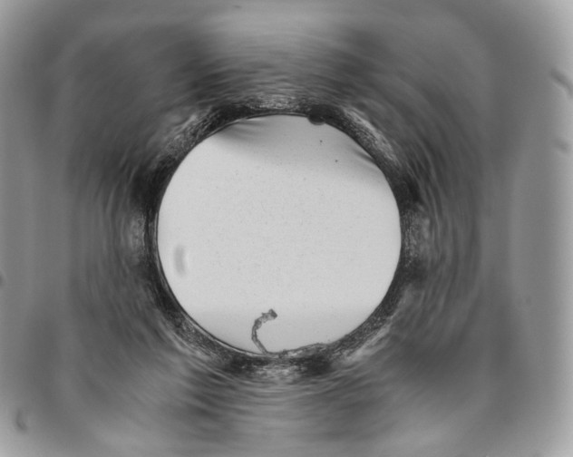 X0000096400213200802141526