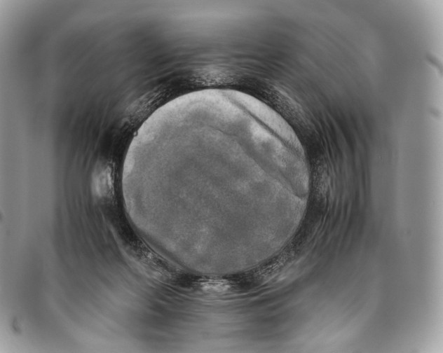 X0000096400214200802141526