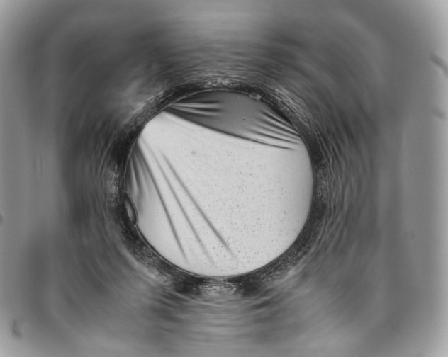 X0000096400215200802141526