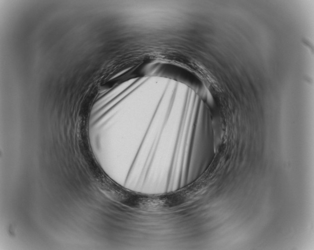 X0000096400217200802141526