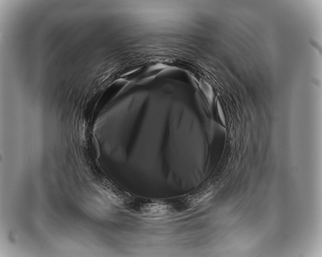 X0000096400219200802141526