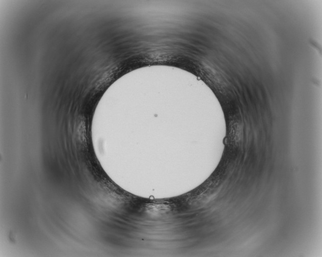 X0000096400220200802141526