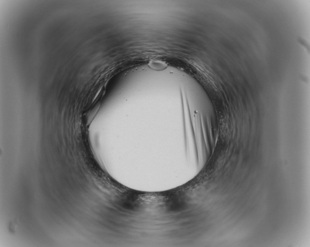 X0000096400221200802141526