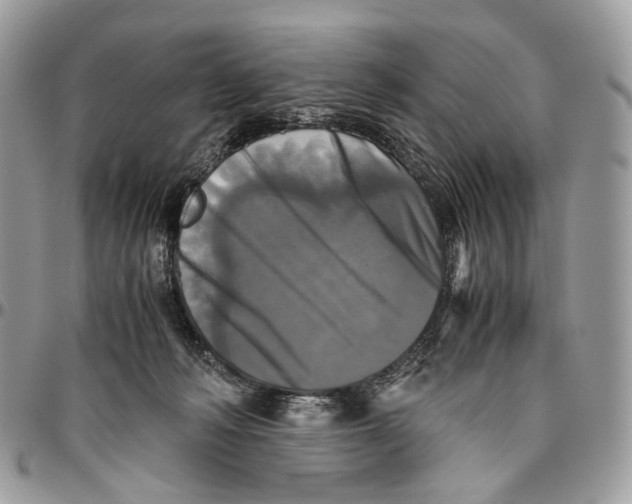 X0000096400222200802141526