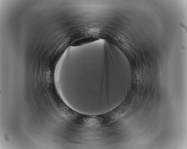 X0000096400224200802141526