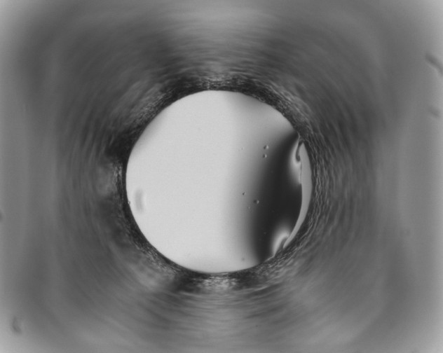 X0000096400225200802141526