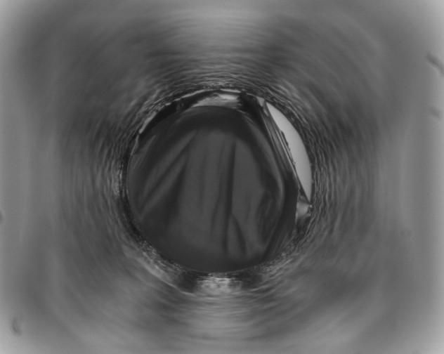 X0000096400227200802141526